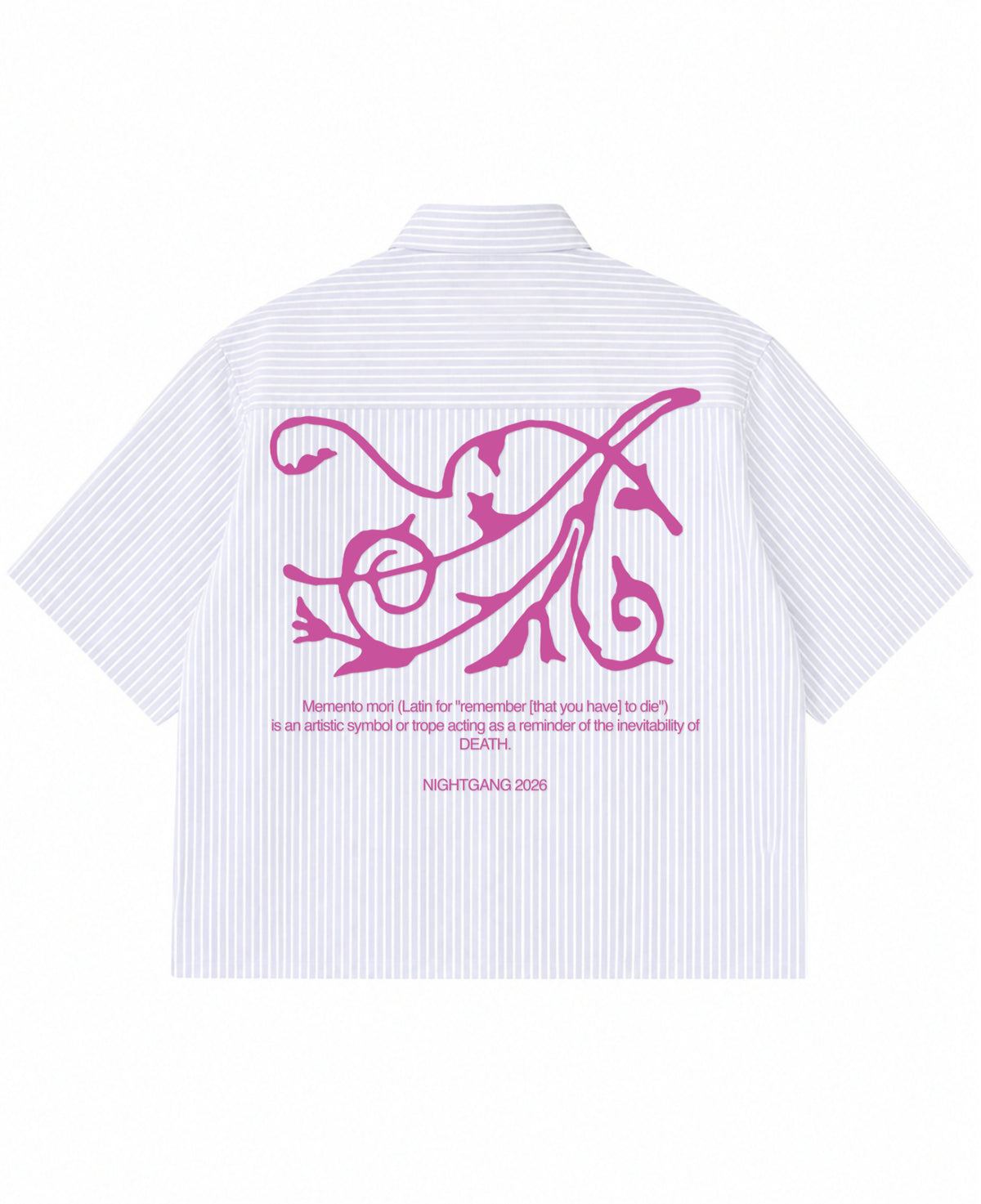 Blue Striped Oxford Boxy Shirt Back Design